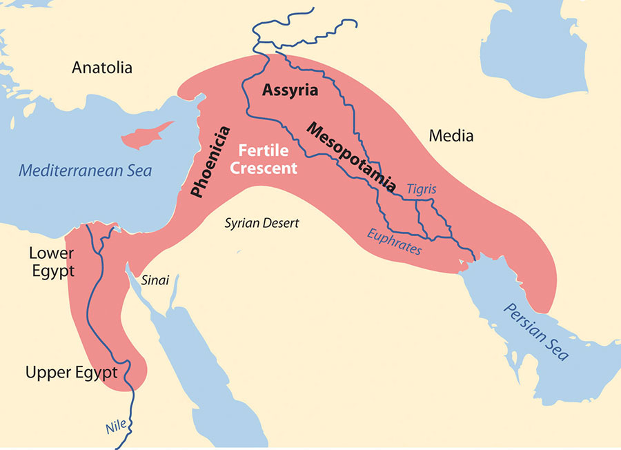 What Is Fertile Land Called At Naoma Johnson Blog