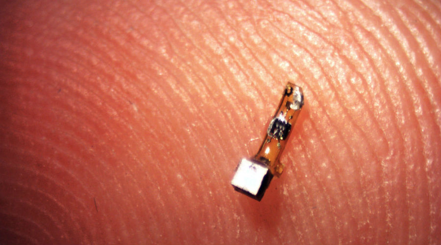 The invention of the 'Neural Dust'  is one of the first science advances on gaining body information from the insides of the human body. Image Credit: PopSci