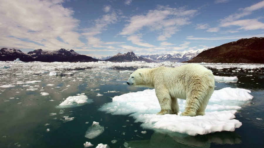 Abram states she knew "the ocean could tell climate scientists about its story" since she believes oceans hold an enormous amount of information concerning climate change. So the team decided to investigate its secrets. Image Credit: Black Vault