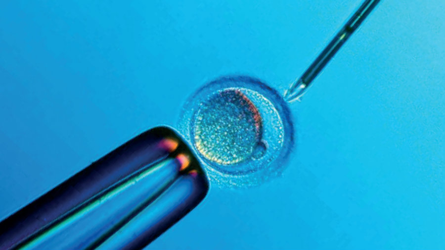 Women with polycystic ovarian syndrome who used frozen embryos when performing IVF had less chance of having an abortion, and the babies had a higher birth weight. Photo credit: Catholic Mom 