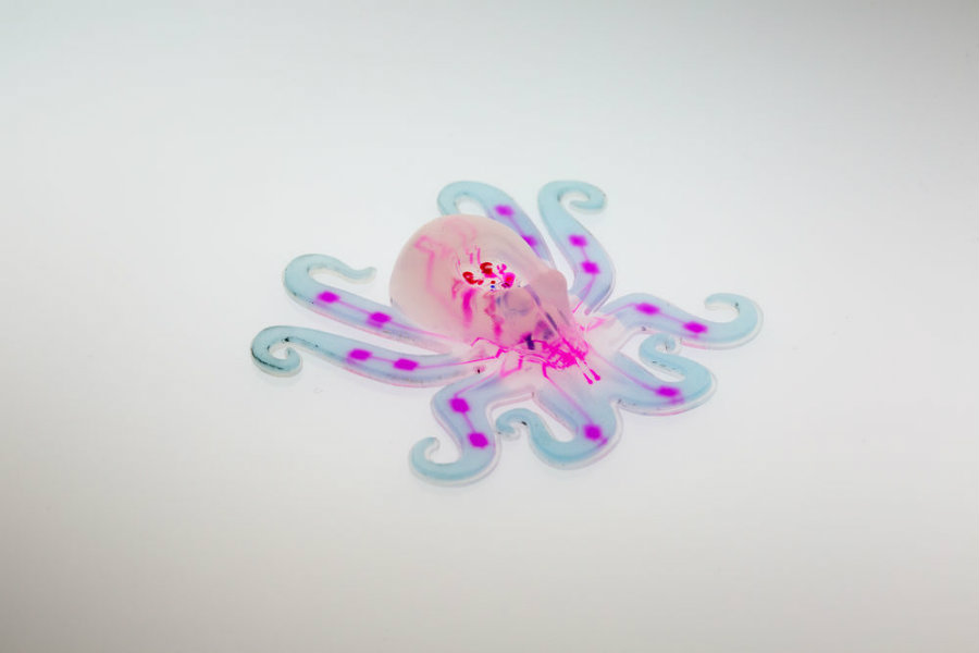 Harvard’s new discovery is nicknamed "octobot" and is the prove that robots can be built with soft elements. Photo credit: R Truby / M Wehner / L Sanders / Harvard University / BBC