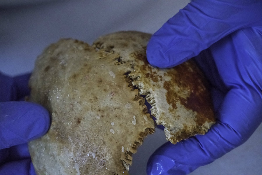 The bones were found by Brendan Foley, who was diving into Antikythera's shipwrecks for the first time. Photo credit: Brett Seymour, EUA / WHOI / ARGO / Scientific American