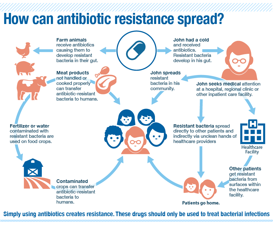 World leaders discuss antibiotic resistance at UN summit