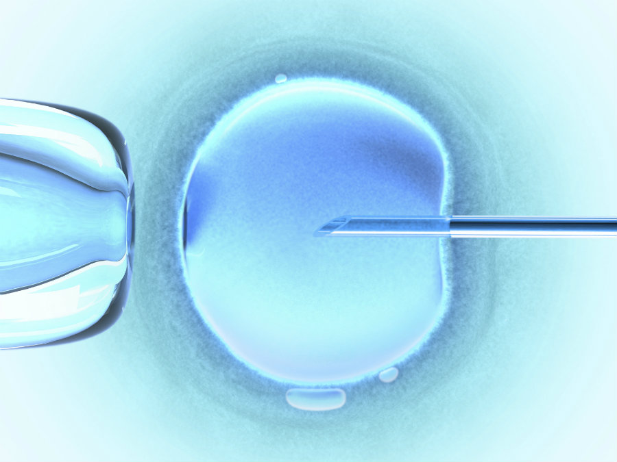 The study proves that eggs are not the only cells that can form embryos with sperm, and skin cells and other could replace the egg when it comes to fertility. Photo credit: Sher Fertility, Haveababy.com