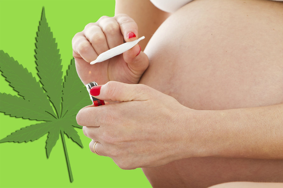 The current research was focused on whether marijuana usage in pregnant women could mean a preterm birth, low baby weight or have harmful outcomes during birth and at first. Photo credit: Sickchirpse.com