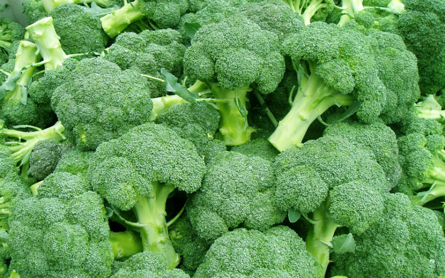 Broccoli is the first contestant for containing the highest levels of NMN. Photo credit: Wallpapersdsc.net