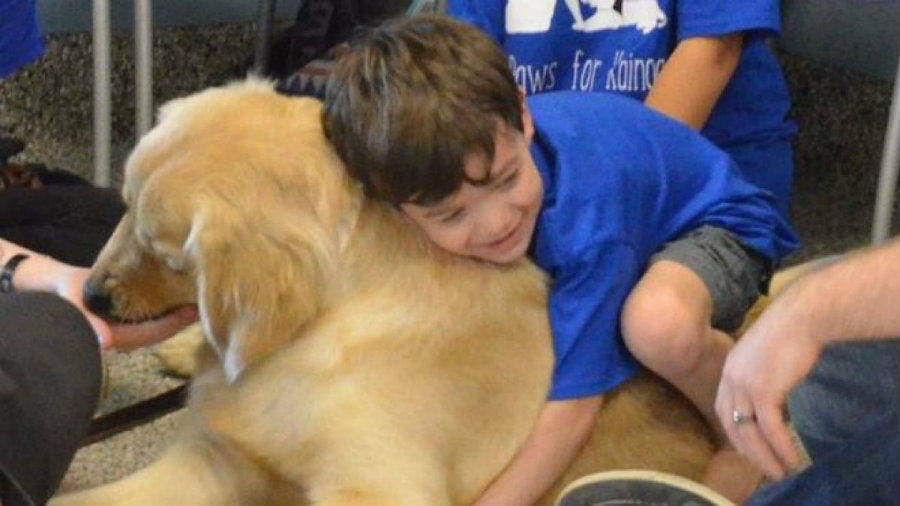 Kainoa’s mom, Shannon, shared a photo of her son resting his head on Tornado. Photo credit: Facebook / 4 Paws For Ability / T13