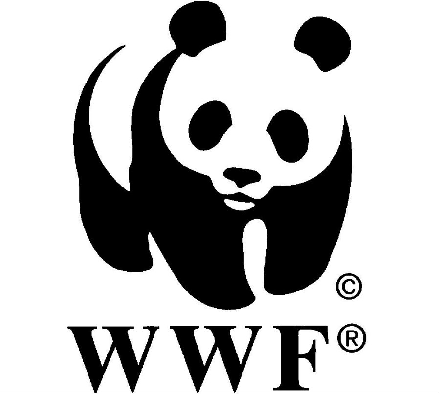 WWF stated that from 1970 to 2012, 58 percent of wildlife population has decreased. Photo credit:  K4health.org