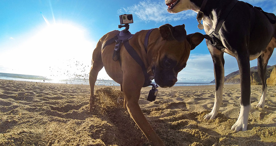 gopro-challenges