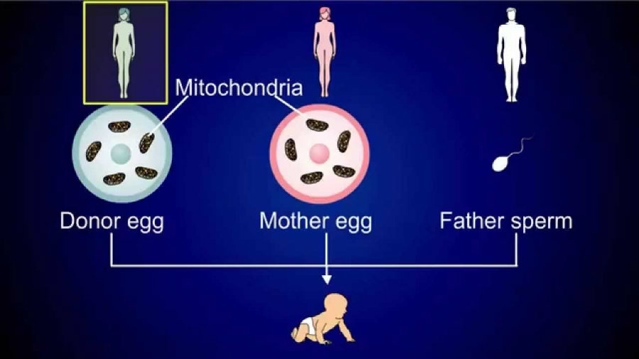 Photo credit: RicochetScience Youtube Channel