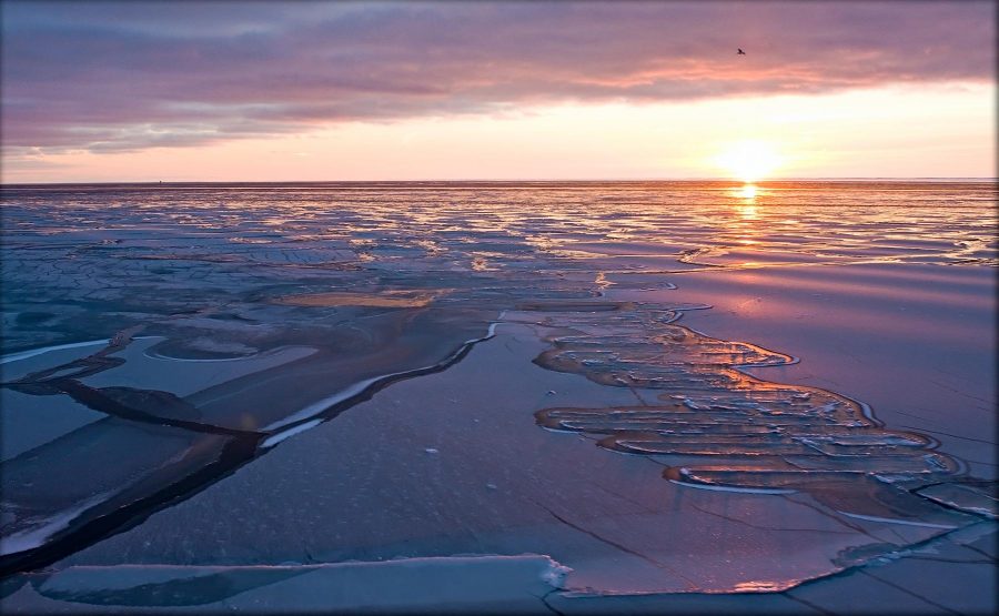 Obama orders the creation of a "resilience area" to protect Alaskan waters. Photo credit: US Climate Resilience Toolkit