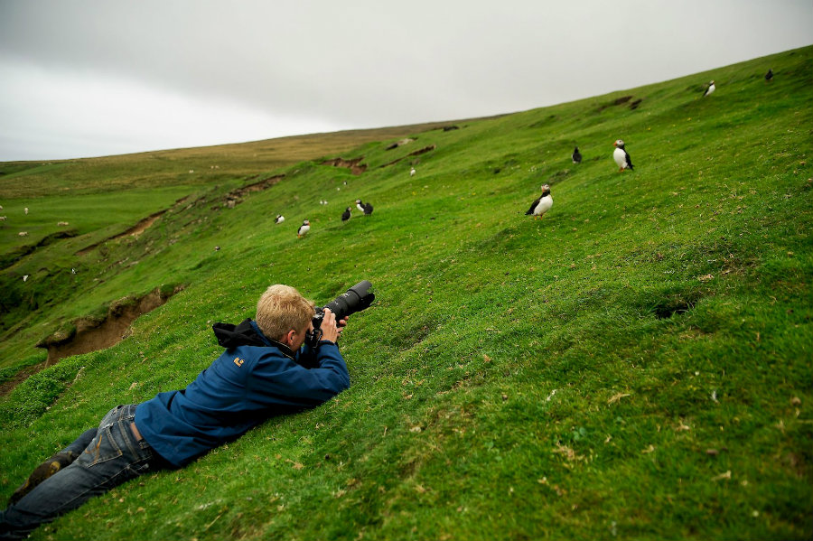 The bird counting is not an exclusive event of the National Audubon Society. Photo credit: Shetland