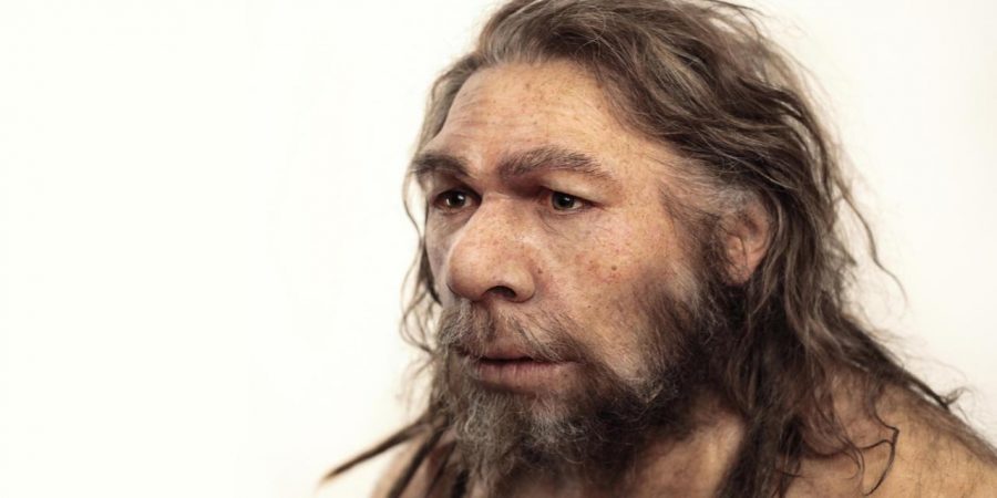 New study finds DNA similarities between Neanderthals and modern humans