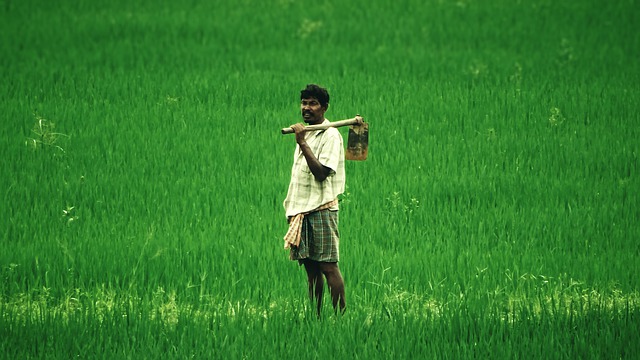 Thousands of Farmers in India Protest the Country’s New Agricultural Laws