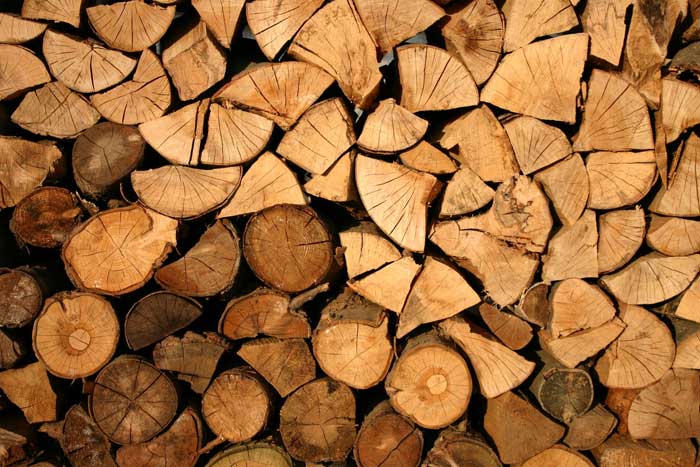 Understanding The Difference Between Types Of Wood And How To Use Them