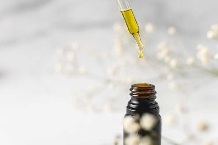 Where Can I Learn About CBD From Experts?