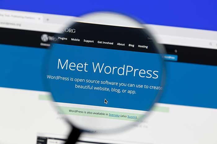 7 Benefits of Using WordPress Agency