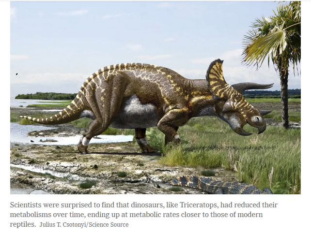 Dinosaurs Were Initially Warm-Blooded, but Some Grew Cold-Blooded