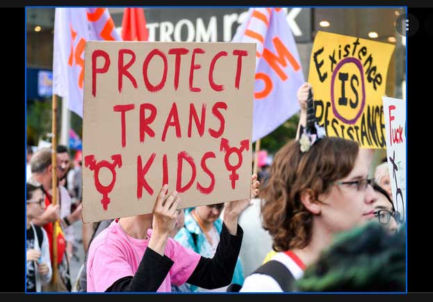 Judge Blocks Law Banning Puberty Blockers and Hormones for Transgender Teens